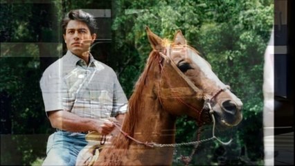 FERNANDO COLUNGA contigo nació una estrella