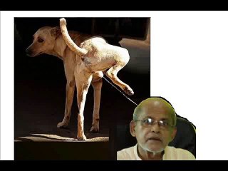 DALCHINI DHABA JEYPORE-PARTY KALIA-GANAPATI-123456-- (3)