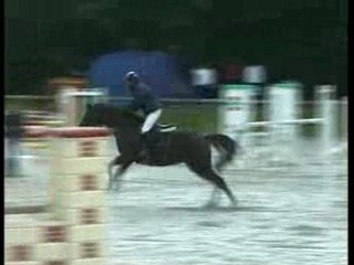 NOUBA - LE LION D'ANGERS - 6ANSB