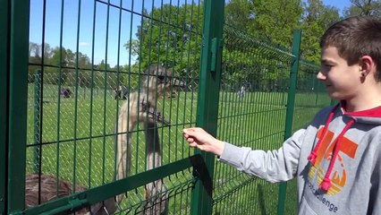 Парк Раубоню Литва Туристические маршруты