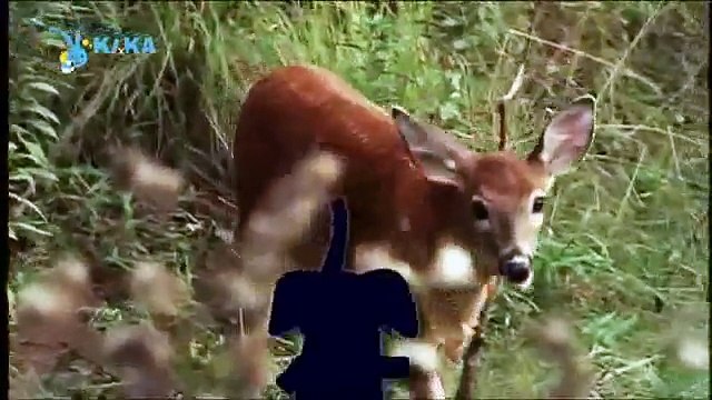 Mama Mirabelles Tierkino 11 Der trompetende Junge