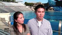 Kobe The Therapy Dog Meets Dolphins and Whales At SeaWorld San Diego - SeaWorld®