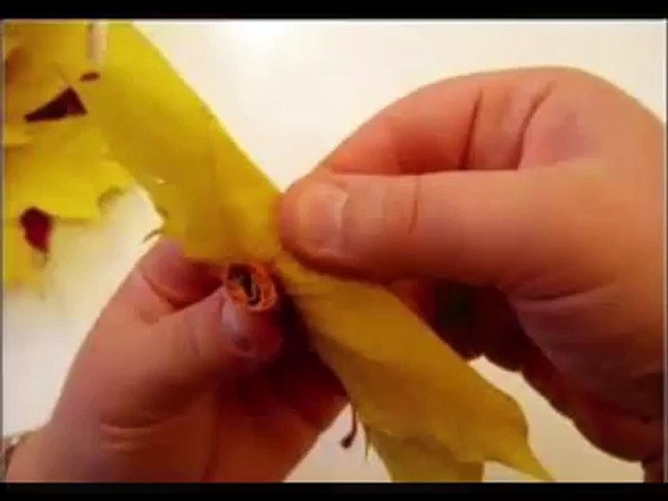Rose of autumn leaves. Своими руками делаем розы из осенних листьев