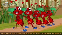 Edewcate english rhymes - The Ants go Marching One by One Song Nursery Rhyme