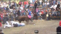 JARIPEO RANCHERO EN LAS FIESTAS TRADICIONALES DE EL CARNAVAL TZURUMURATO MICHOACAN EXELENTES MONTAS CAIDAS Y TOROS SALVAJOTES FEBRERO 2016