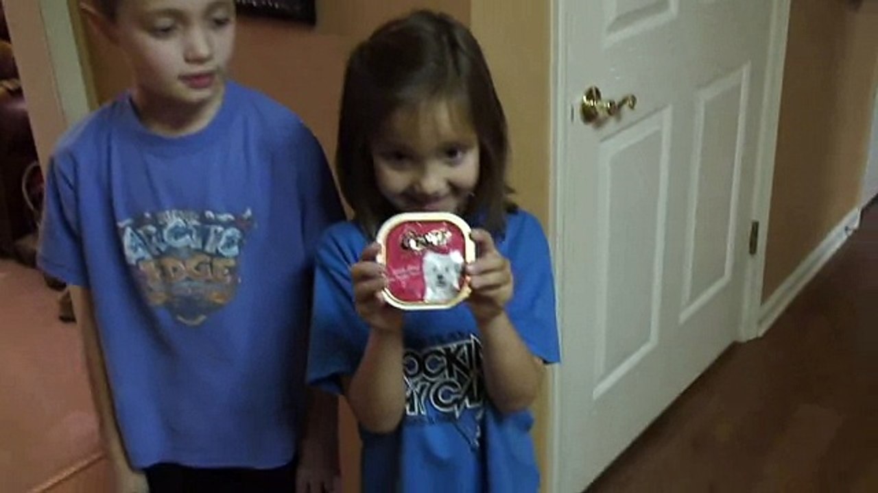 Will A Cat Eat Dog Food-