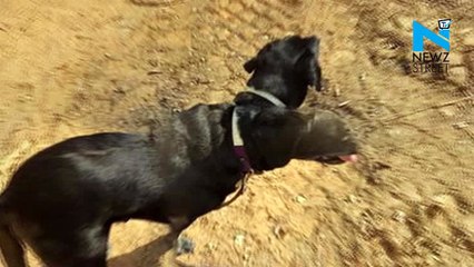 These beach google street views snaps will make you wonder