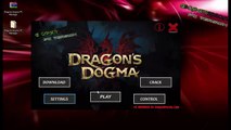 Dragons dogma PC Version