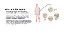 Learn what are Stem Cells and What Does Stem Cell Therapy Do