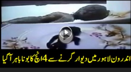 Alien - Short man (bona) found in lahore