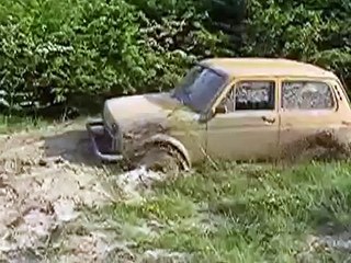 Нива на бездорожье, жестокое зрелище!