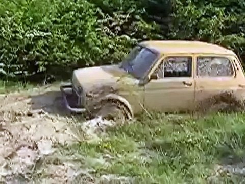 Нива на бездорожье, жестокое зрелище!