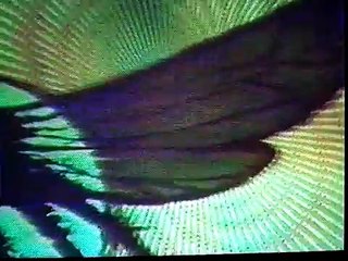 SERIES DE TV DECADAS 60, 70 Y 80. ESPANOL LATINO. INTROS. Parte 1/6