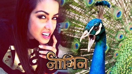 Madhura Naik Enters NAAGIN As Ichaddari MOR (Peacock)