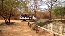 Senegal Vahşi Yaşam Meraklılarını Bekliyor