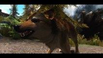 TES V Skyrim Mods: True Wolves Of Skyrim by KrittaKitty