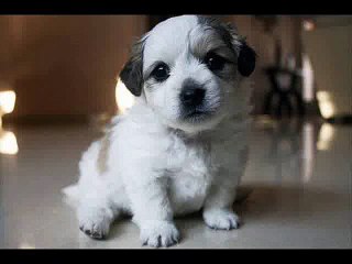 sS인덕원출장안마 ▷ OlOㆍ5937ㆍ8461 ◁ ▷ t.tいろ ◁ 과천출장마사지 인덕원출장안마