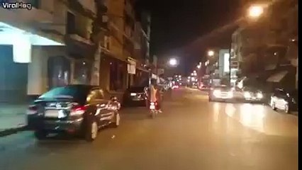 Anjing ini bisa naik motor sambil bawa payung