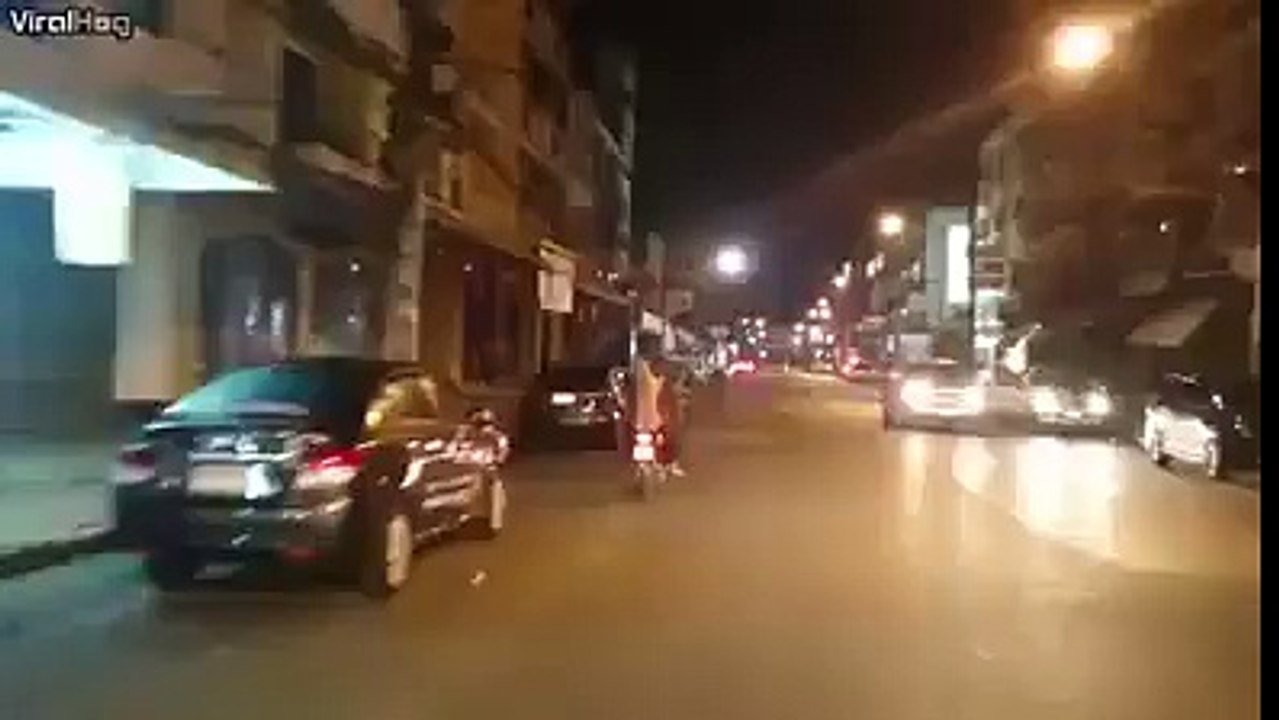 Anjing ini bisa naik motor sambil bawa payung