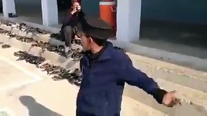 پٹهان طالب علم نے ملی نغمہ گا کر انٹرنیٹ پر دهوم مچا دی. ... آپ بهی دیکھ لیجیے