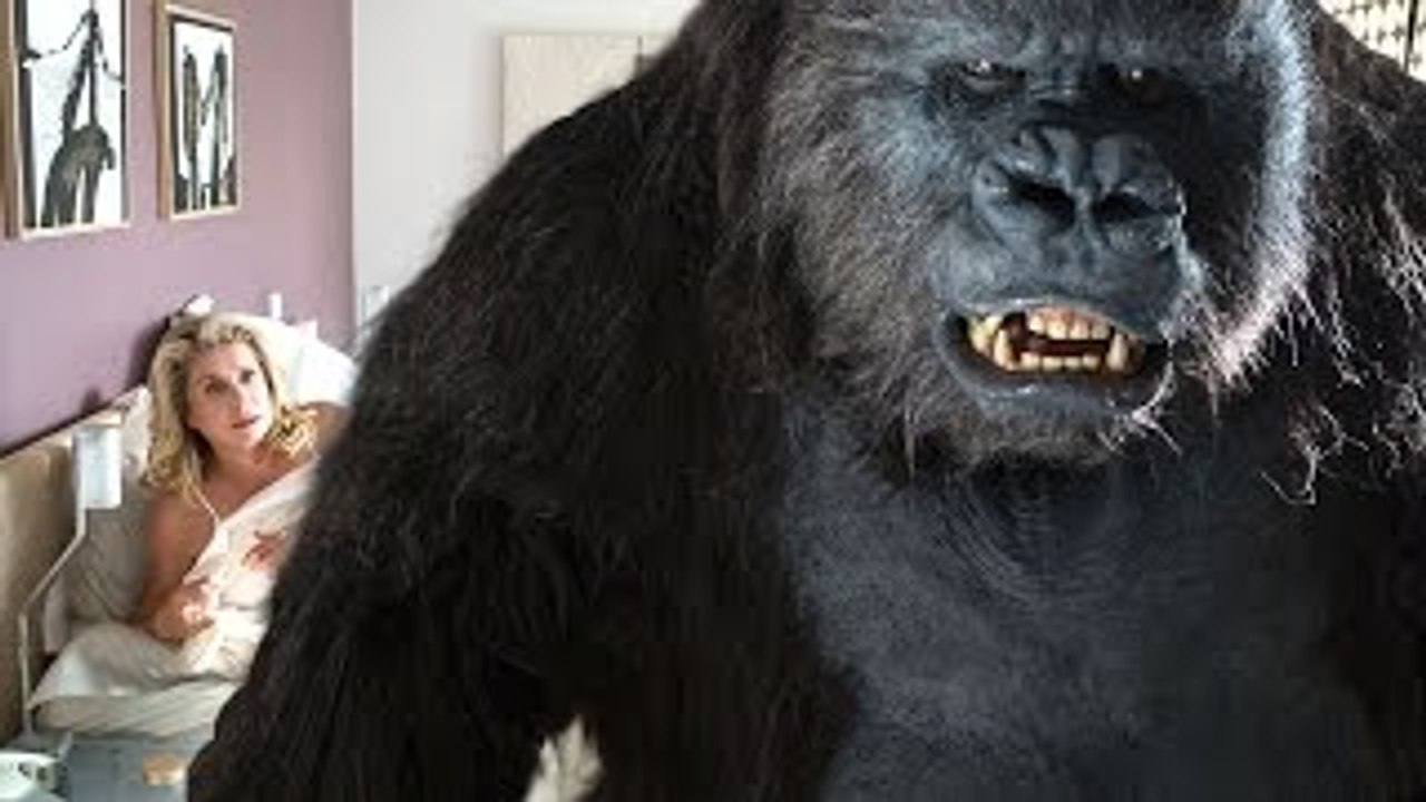 LE TOUT NOUVEAU TESTAMENT un film de Jaco van Dormael - Bande Annonce (2015) HD