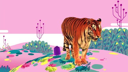 Animal Songs: Tiger in the Jungle, by StoryBots
