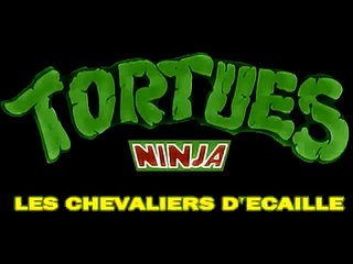 Tortues Ninja - Générique Long