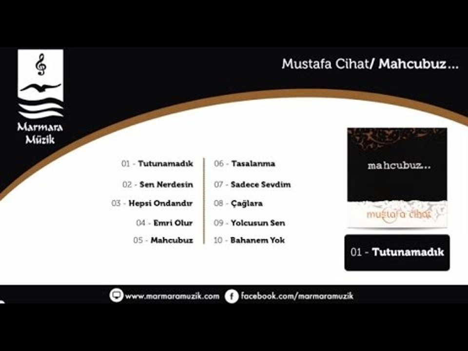 Mustafa Cihat - Yolcusun Sen