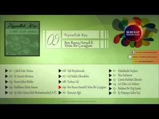 Ben Bosna Hersekli Yetim Bir Çoçuğum (Şiir) - Feyzullah Koç