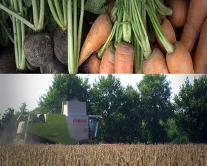 #TerreDePassion - Saison 3 Ep. 7 - S'installer seul ou s'associer