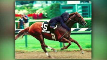 50 Funniest Animal Photos Of All Time