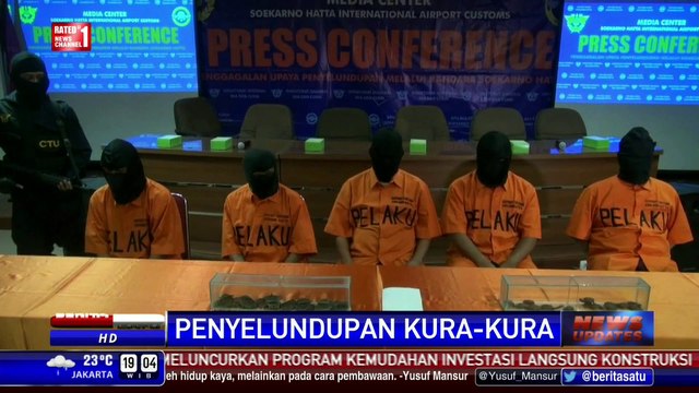Bea Cukai Gagalkan Penyelundupan Ribuan Kura-Kura Langka