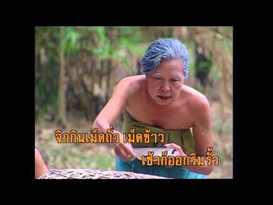 ดาวลูกไก่ 1 - ไชยา มิตรชัย (KARAOKE)