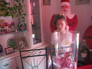 DSCF6965,,,,,rose noelle momas