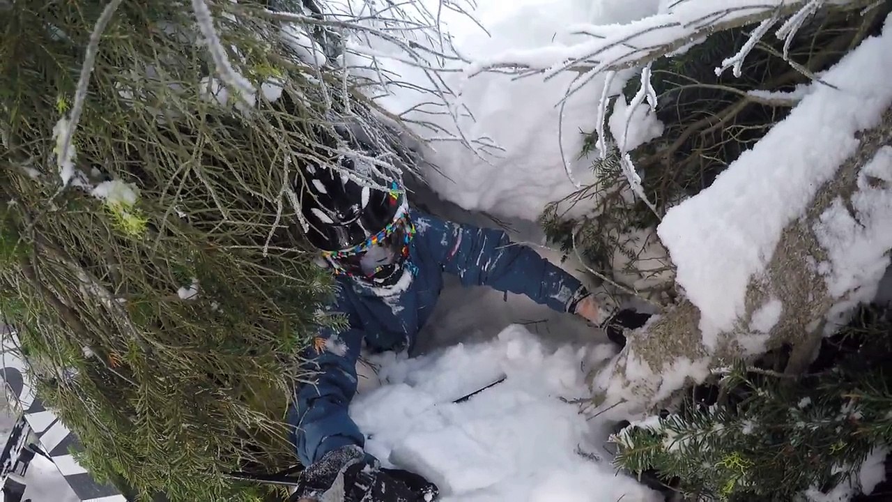 Tree well near death experience