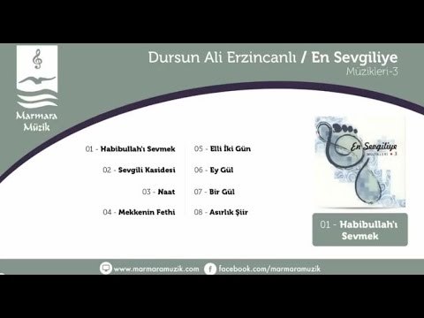Enstrümantal - Elli İki Gün