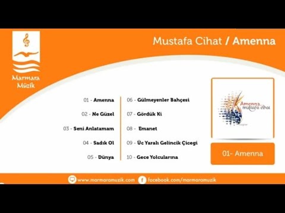 Mustafa Cihat - Seni Anlatamam
