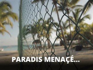 Le spot préféré des tortues, détruit par les touristes