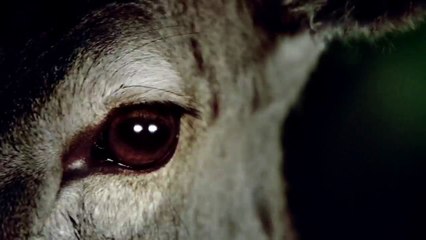 Mercedes-Benz Е-Класс рекламный ролик