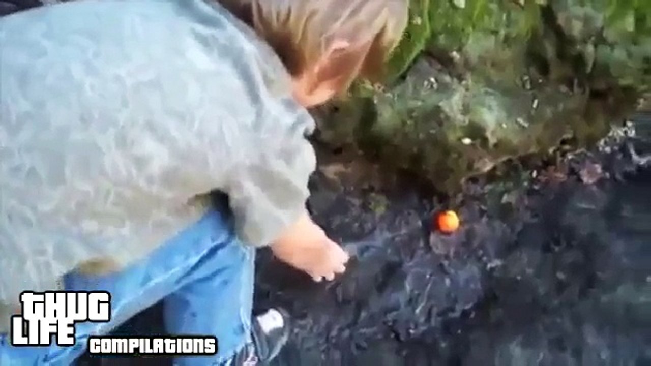 Animal Thug Life Compilation