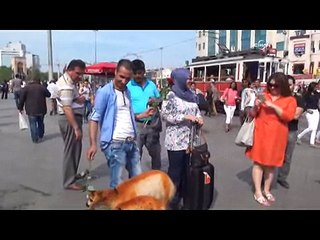 Kınalı kuzulara Taksim'de büyük ilgi