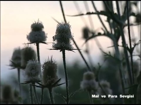 09. Mal ve Para Sevgisi - Hayri Küçükdeniz Sohbetler Serisi