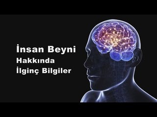 İnsan Beyni Hakkında İlginç Bilgiler