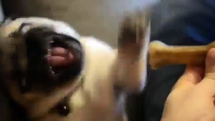 Смешно лучшее 10