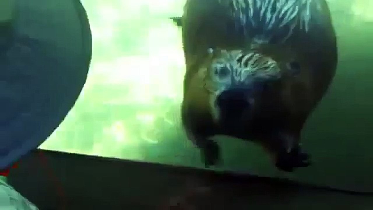 Смешно лучшее 8