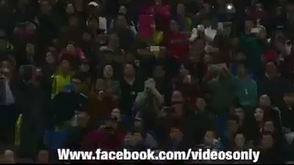 beautiful cars all around in the world looks amazing