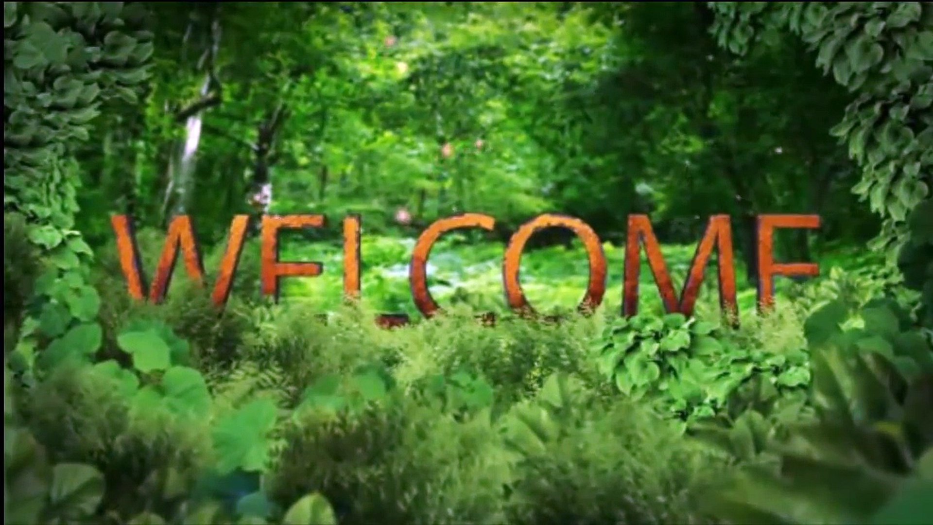 Funny Animals - Funny Animals Video