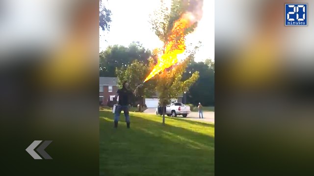 Il détruit un nid de frelons au lance-flammes ! - Le rewind du lundi 22 février 2016.