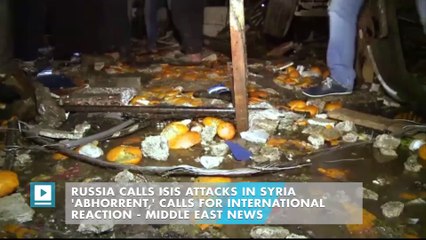 Russia Calls ISIS Attacks in Syria 'Abhorrent,' Calls for International Reaction
