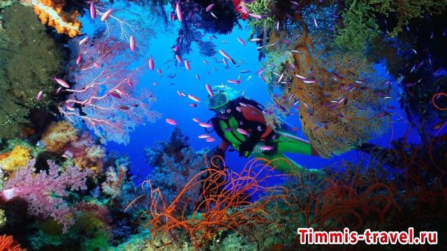 Отдых на Фиджи туры цены, Москва Фиджи